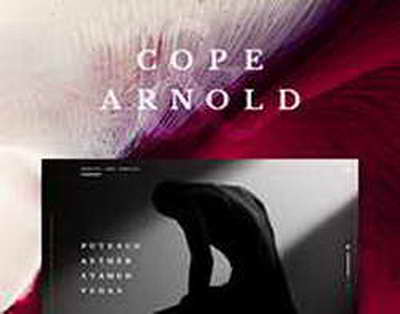 В Интере подтвердили интерес Ромы к Фраттези