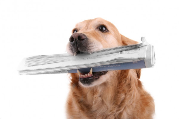 Евгений Анненков (Инфосистемы Джет): Мы наблюдаем стабильно высокий спрос на облачные вычислительные ресурсы, особенно в задачах, связанных с обучени