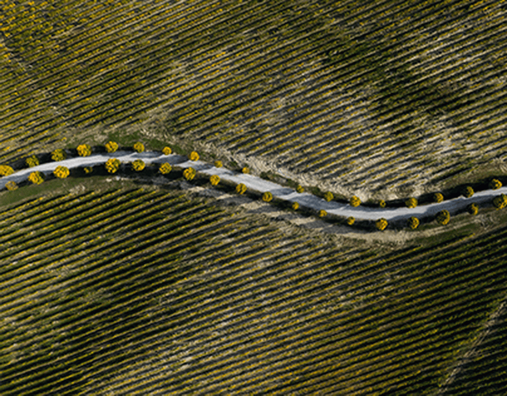 Джеко объявил об уходе из Фенербахче