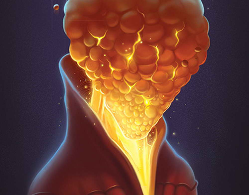 Кабмин не исполняет поручения Путина в части обращения с животными  проект обращения ГД
